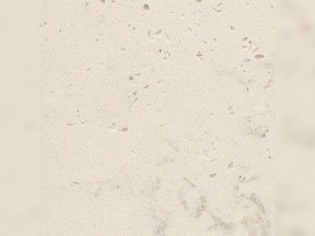 Negro Stellar Silestone - Mutfak Tezgahı Ankara